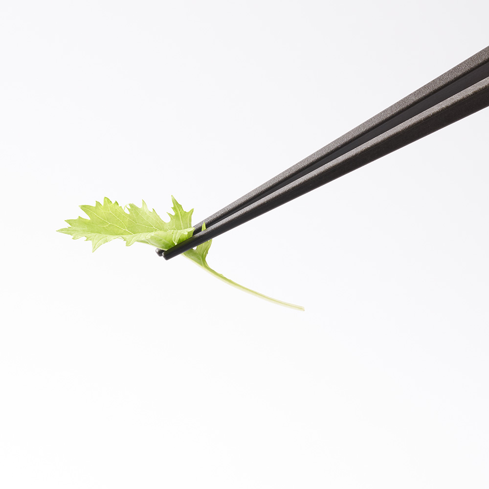 うきはし　はし　先 浮く 箸　日本製　カラフル　箸置きがいらない 衛生的　アフォーダンス